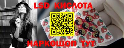 гидропоника Ижевск